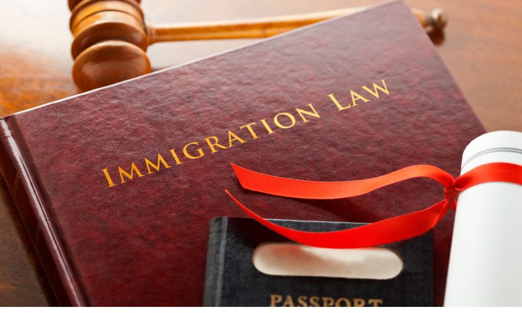 How Does Immigration Impact the Shaping of National Identity?